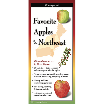 The cover image of Favorite Apples of the Northeast folding guide featuring a selection of illustrations of apple varieties against a map of the Northeastern US region.