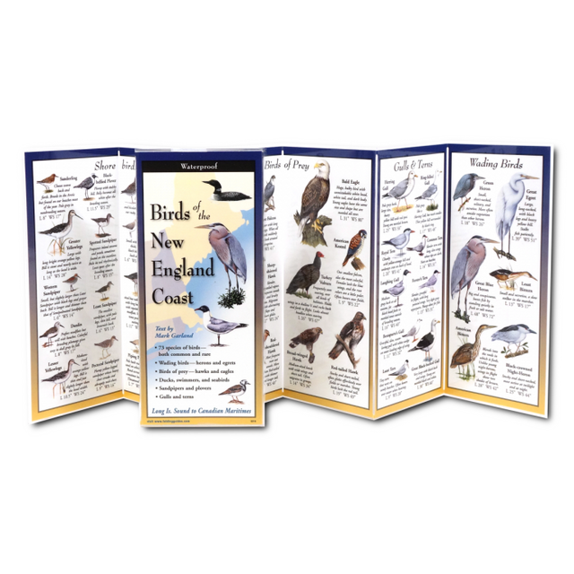Travel Guides