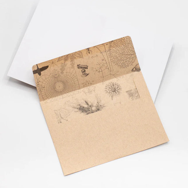 a kraft envelope open to reveal science themed print inside of the envelope