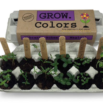Grow Salsa Garden Kit