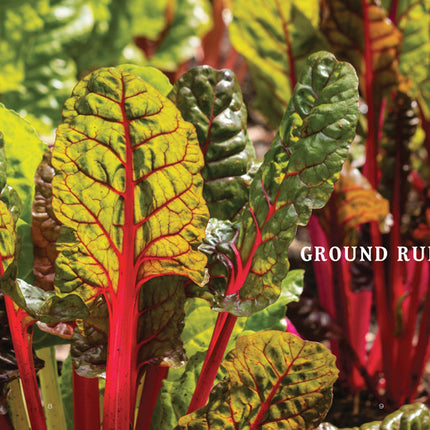 Vegetable Gardener’s Handbook