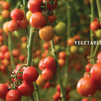 Vegetable Gardener’s Handbook