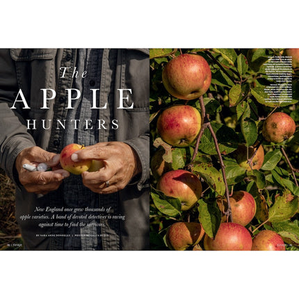 Yankee Magazine September/October 2026
