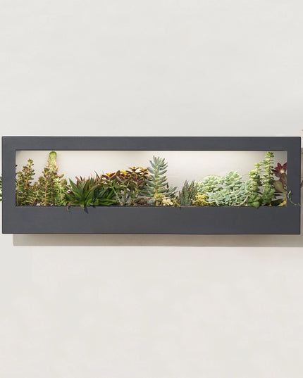 Smart Led Light Landscape Growframe
