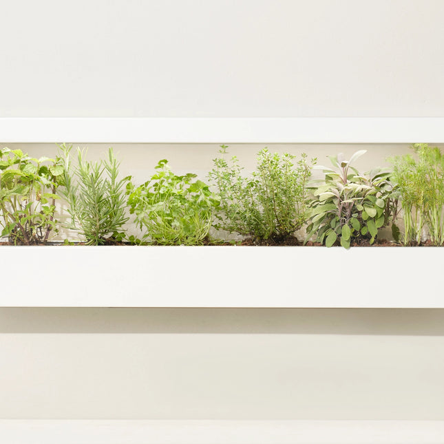 Smart Led Light Landscape Growframe