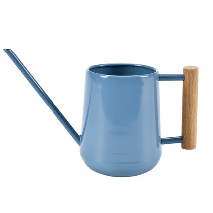 Indoor Watering Can