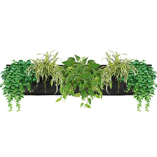 woolly pocket plastic wall planter WallyGrow 5-Pocket Living-Wall Pocket Planter With Watering Channel For Indoor Or Outdoor Use, Wall-Hanging Planter For Plant Wall (Black)