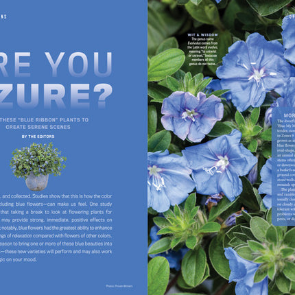 a spread about blue plants titled "Are you Azure?"