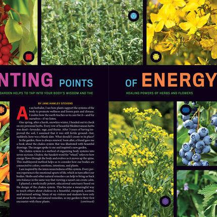 a spread on chakra gardens titled "Planting Points of Energy"