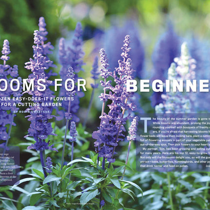 a close up of purple plants with the text "Blooms for Beginners"