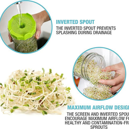 Mason Jar Sprouting Kit with Seeds