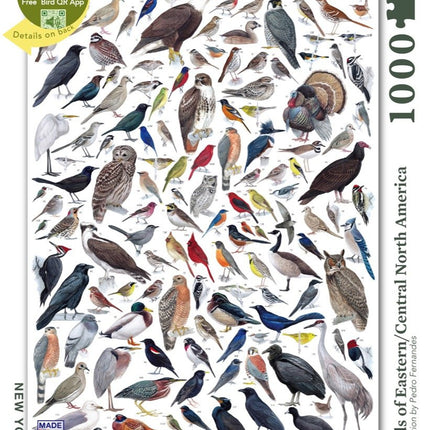 Birds of Eastern and Central North America Jigsaw Puzzle 1000 Piece