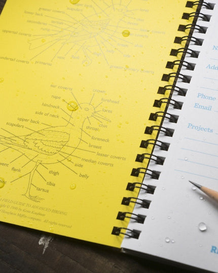 a close up of the interior cover of the birder's journal showing bird body part reference