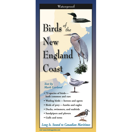 The cover image of Birds of the New England Coast folding guide featuring a selection of illustrations of coastal birds against a map of the New England region.