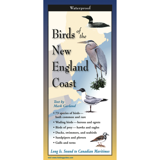 The cover image of Birds of the New England Coast folding guide featuring a selection of illustrations of coastal birds against a map of the New England region.