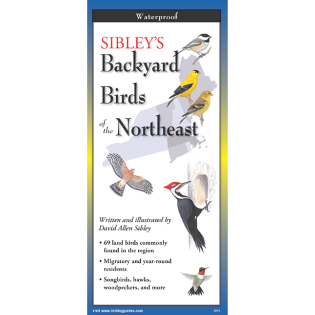 The cover image of Sibley’s Backyard Birds of the Northeast folding guide featuring a selection of illustrations of birds against a map of the Northeastern US region.