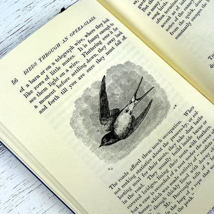 Open book with a black and white illustration of a bird on a white wooden surface