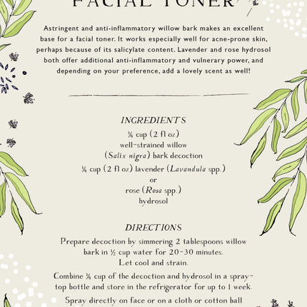 interior page from the Skin Care Recipe Book showing a recipe for Clarifying Facial Toner on sage green paper with illustrations of herbs