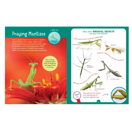 Backpack Explorer: Discovering Plants & Flowers