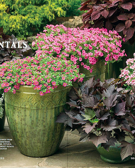 Container Gardener’s Handbook