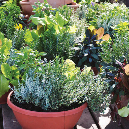 Container Gardener’s Handbook