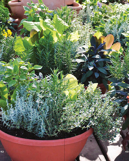 Container Gardener’s Handbook