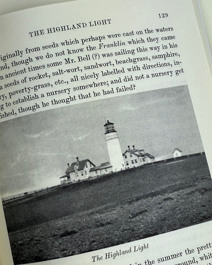 Cape Cod
