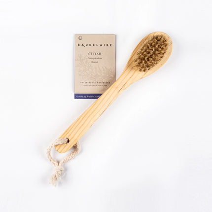 Wooden body brush with bristles and packaging on a white background
