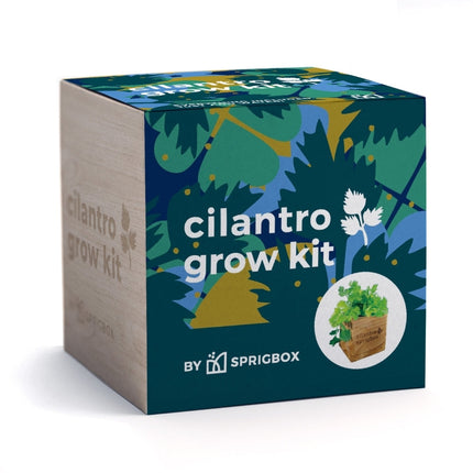 A square product box for a cilantro grow kit by Sprigbox, shown on a clean white background. The box features a dark teal front with colorful botanical illustrations, white text reading 'cilantro grow kit,' and a circular inset showing green cilantro in a paper bag.