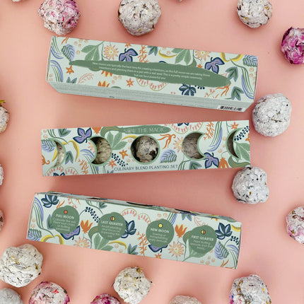 Moon Phase Spring Pollinator Seed Ball Planting Set