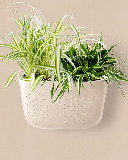 a plastic wall planter in a beige shade called oat with various houseplants planted in it and mounted on a wall that is painted a similar beige as the planter