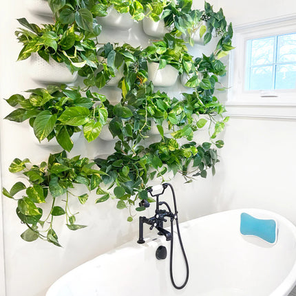 a white bathroom with white eco wall planters mounted on the wall above the top in a square arrangement with green plants filling the planters giving the look of a wall of plants