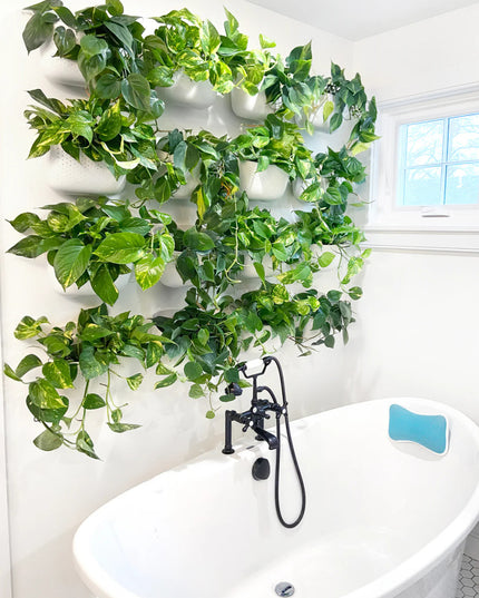 a white bathroom with white eco wall planters mounted on the wall above the top in a square arrangement with green plants filling the planters giving the look of a wall of plants