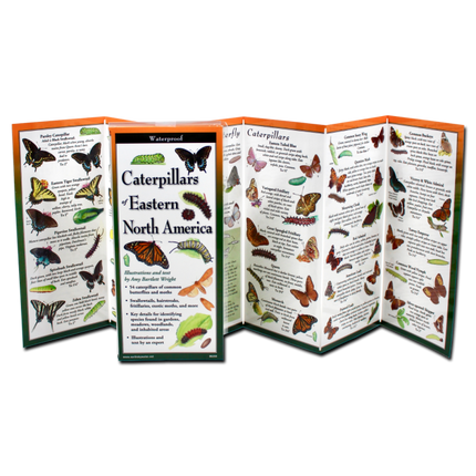Caterpillars of Eastern North America, Folding Guide
