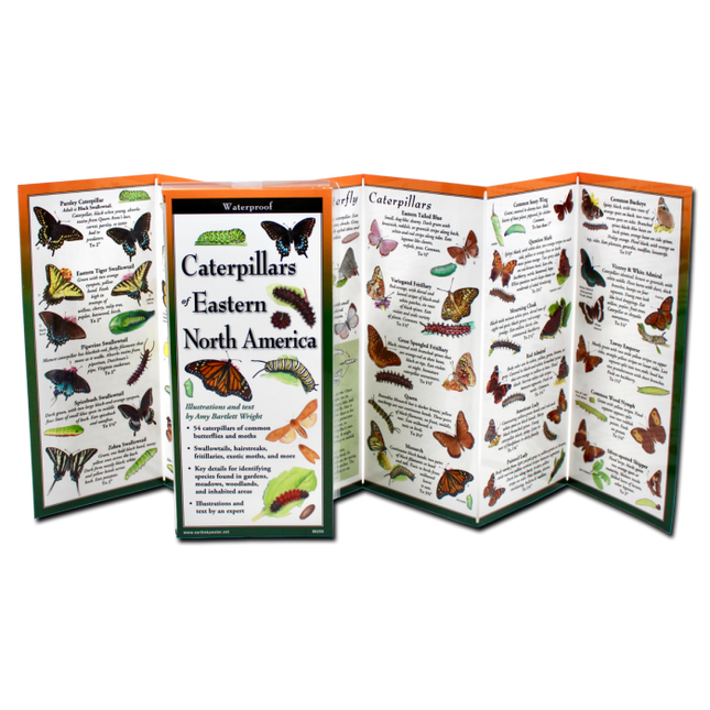 Caterpillars of Eastern North America, Folding Guide