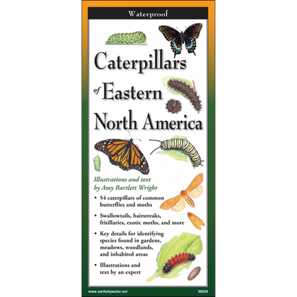 Caterpillars of Eastern North America, Folding Guide