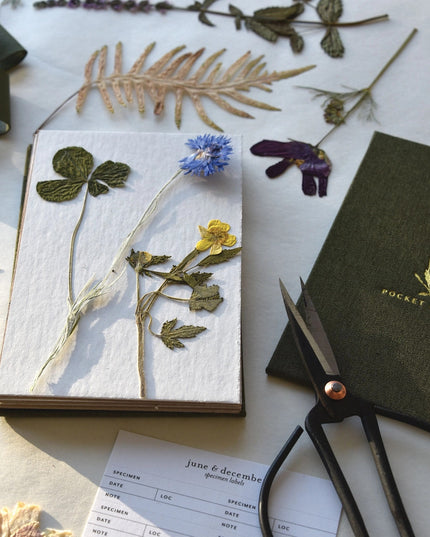 The field press on a table, open, surrounded by pressed flowers, scissors, and supplies