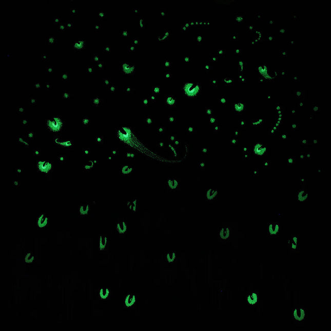 close up of the firefly tee in the dark showing how the fireflies glow in the dark 