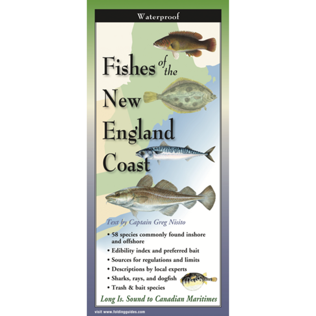 Cover image for Fishes of the New England Coast, featuring illustrations of various species of coastal fish in profile against a map of the Northeast US