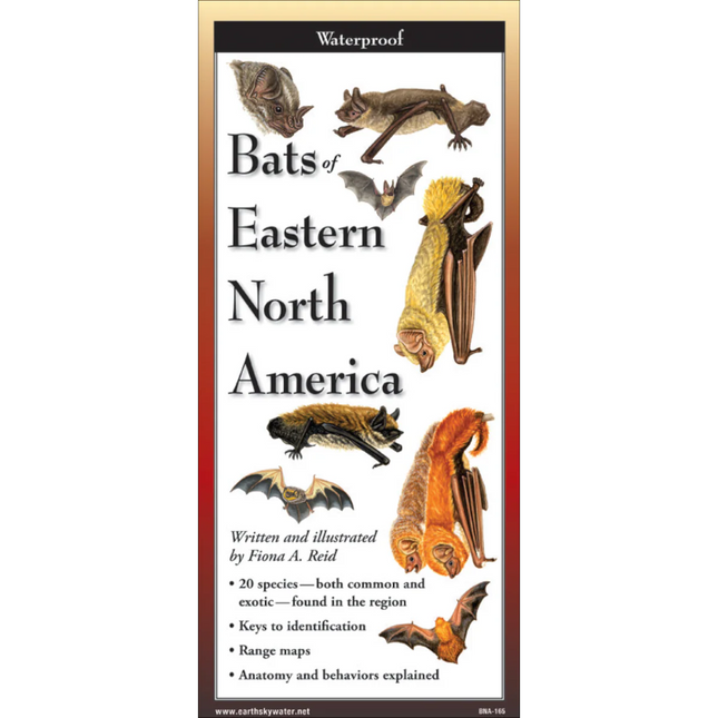 Bats of Eastern North America Folding Guide