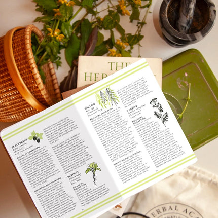 the foraging guidebook open to a page showing a variety of plants to forage