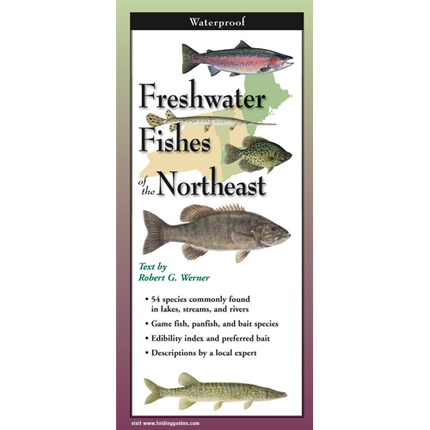 Cover image for Freshwater Fishes of the Northeast, featuring illustrations of various species of fish in profile against a map of the Northeast US
