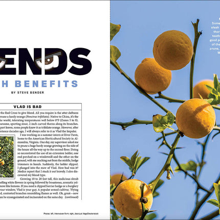 2024 Garden Guide - Print Edition