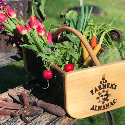 The Old Farmer's Almanac Garden Hod