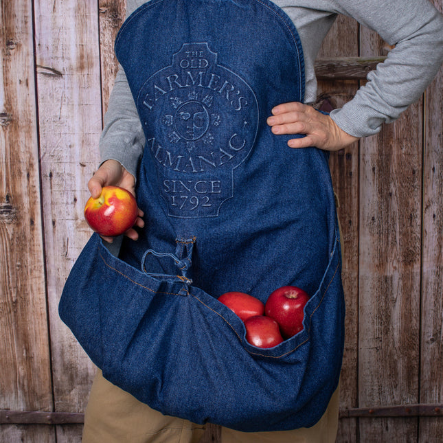 a model wearing the gathering apron filled with apples, she has one hand on her hip and holds an apple in the other