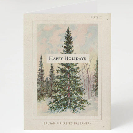 a greeting card with a vintage illustration of a balsam fir with the text "Happy Holidays"