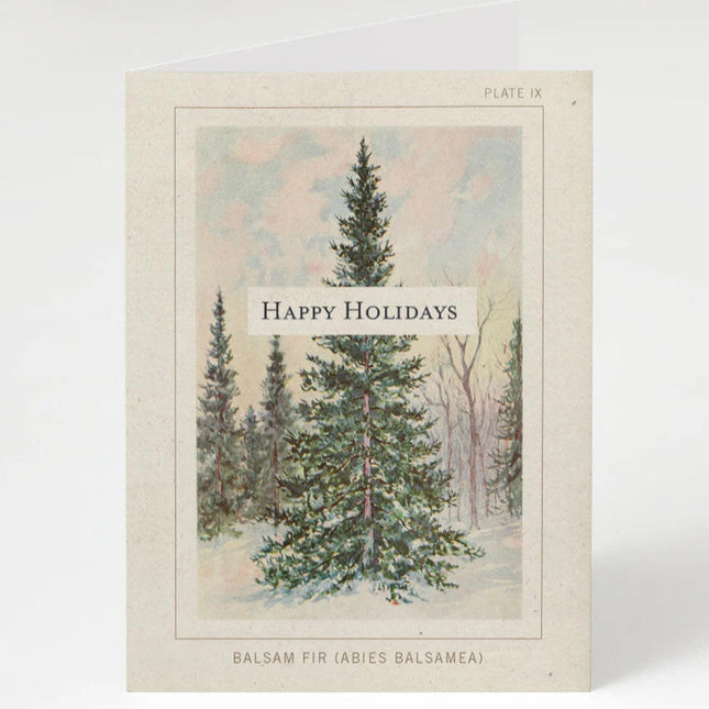 a greeting card with a vintage illustration of a balsam fir with the text "Happy Holidays"