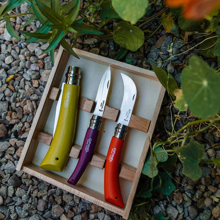 the garden gift box resting on pebbled ground in a garden