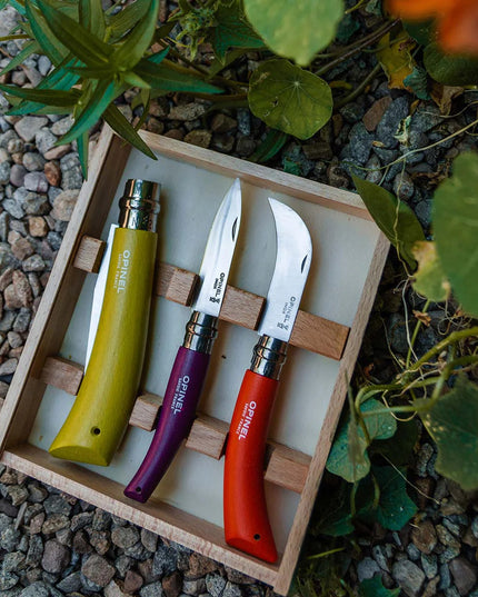 the garden gift box resting on pebbled ground in a garden
