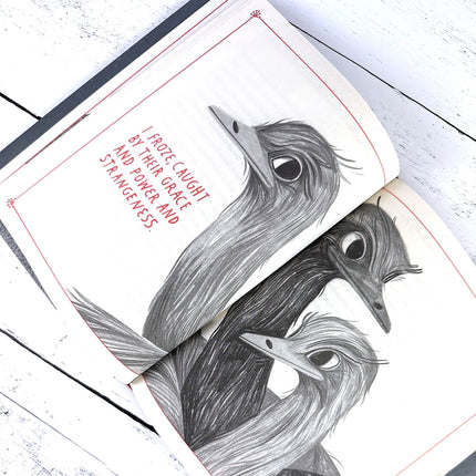 Illustration of three birds on a book page with text.